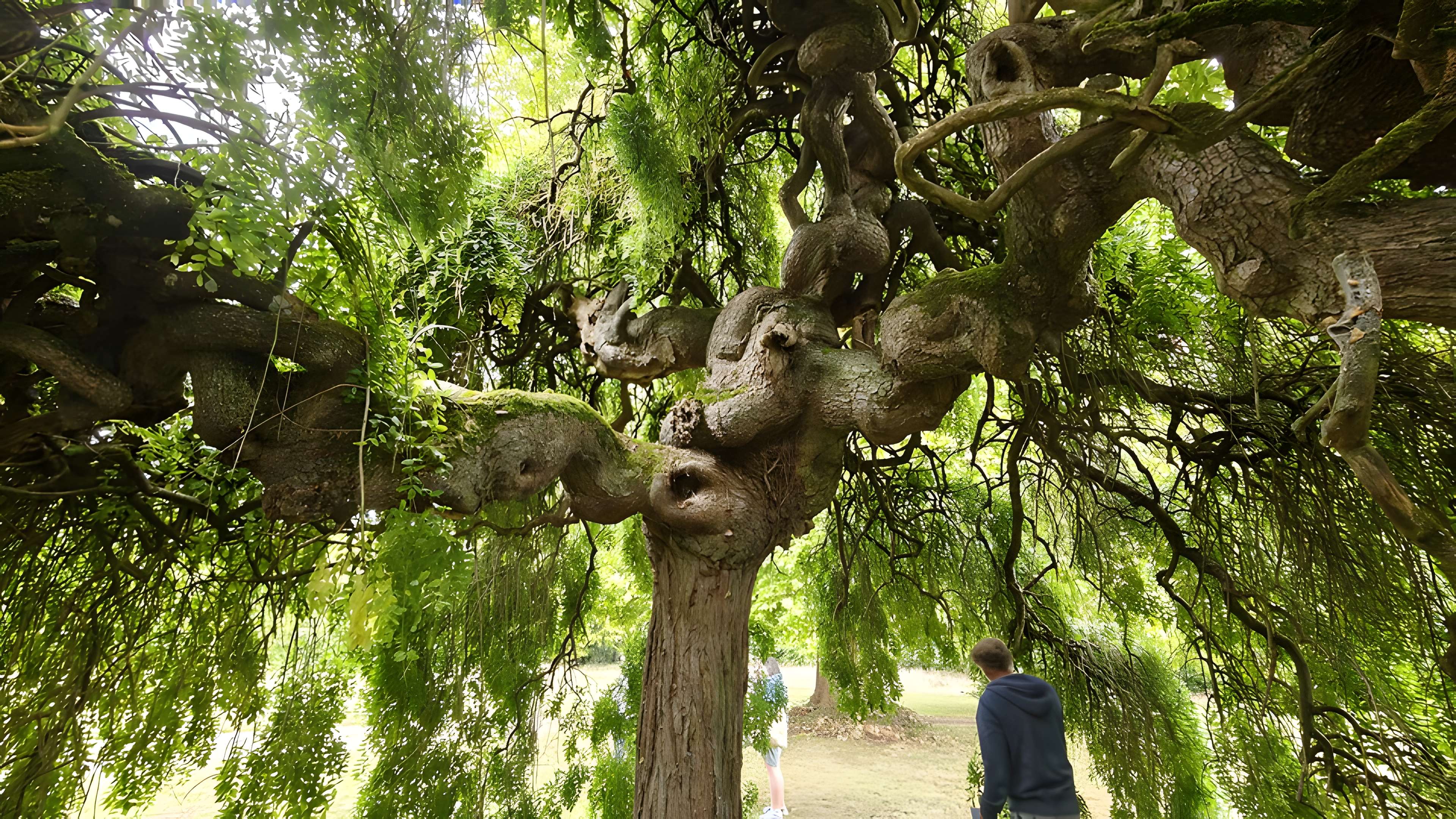 Château de Monsures