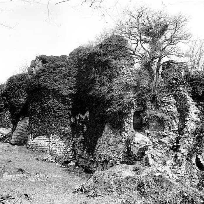 Photo de Château de Montaiguillon ruines