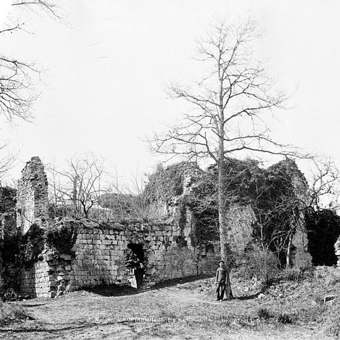 Photo de Château de Montaiguillon ruines
