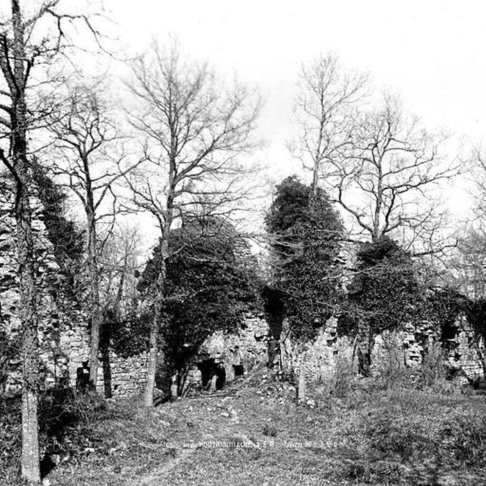 Photo de Château de Montaiguillon ruines