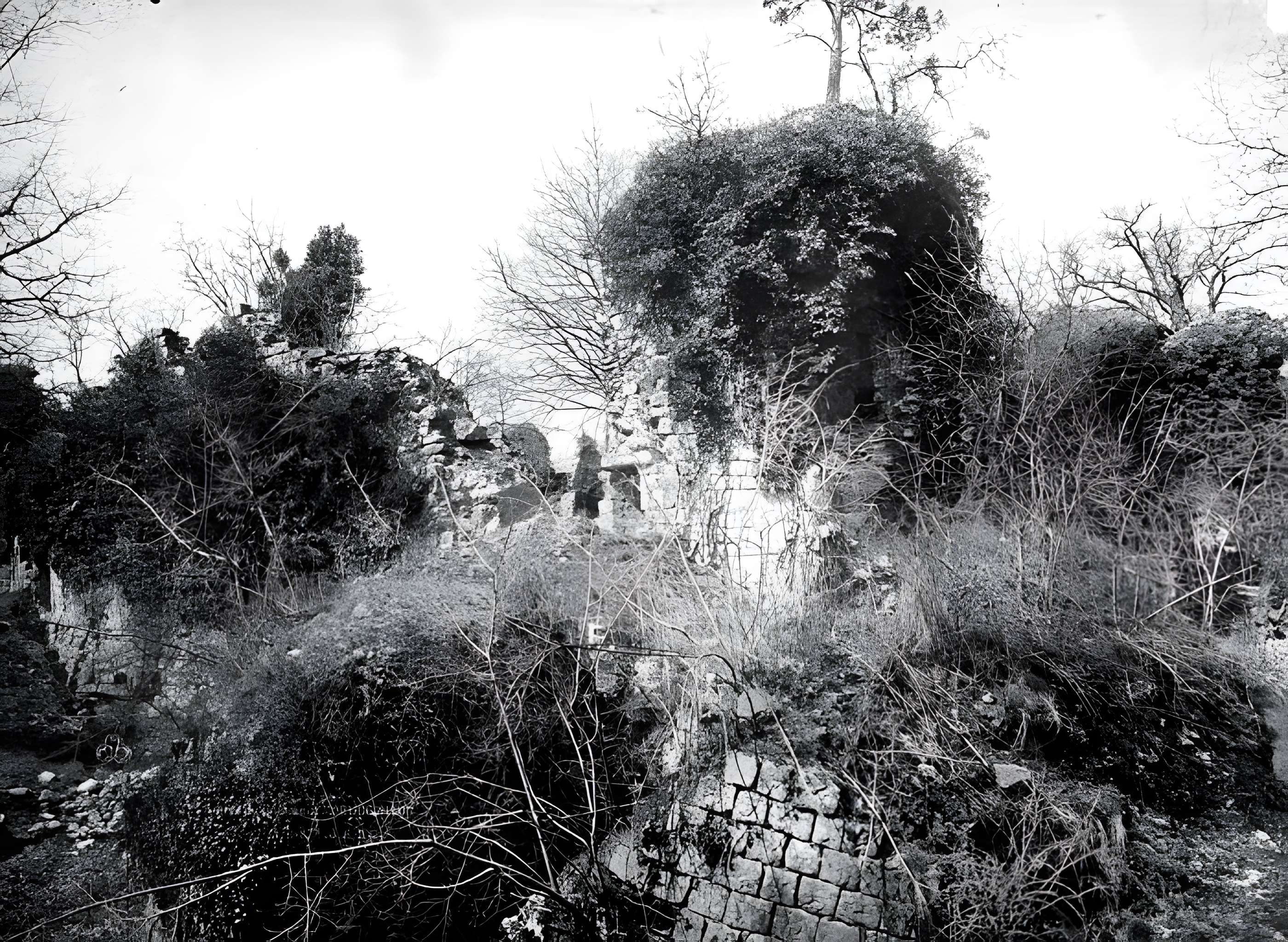 Château de Montaiguillon (ruines)