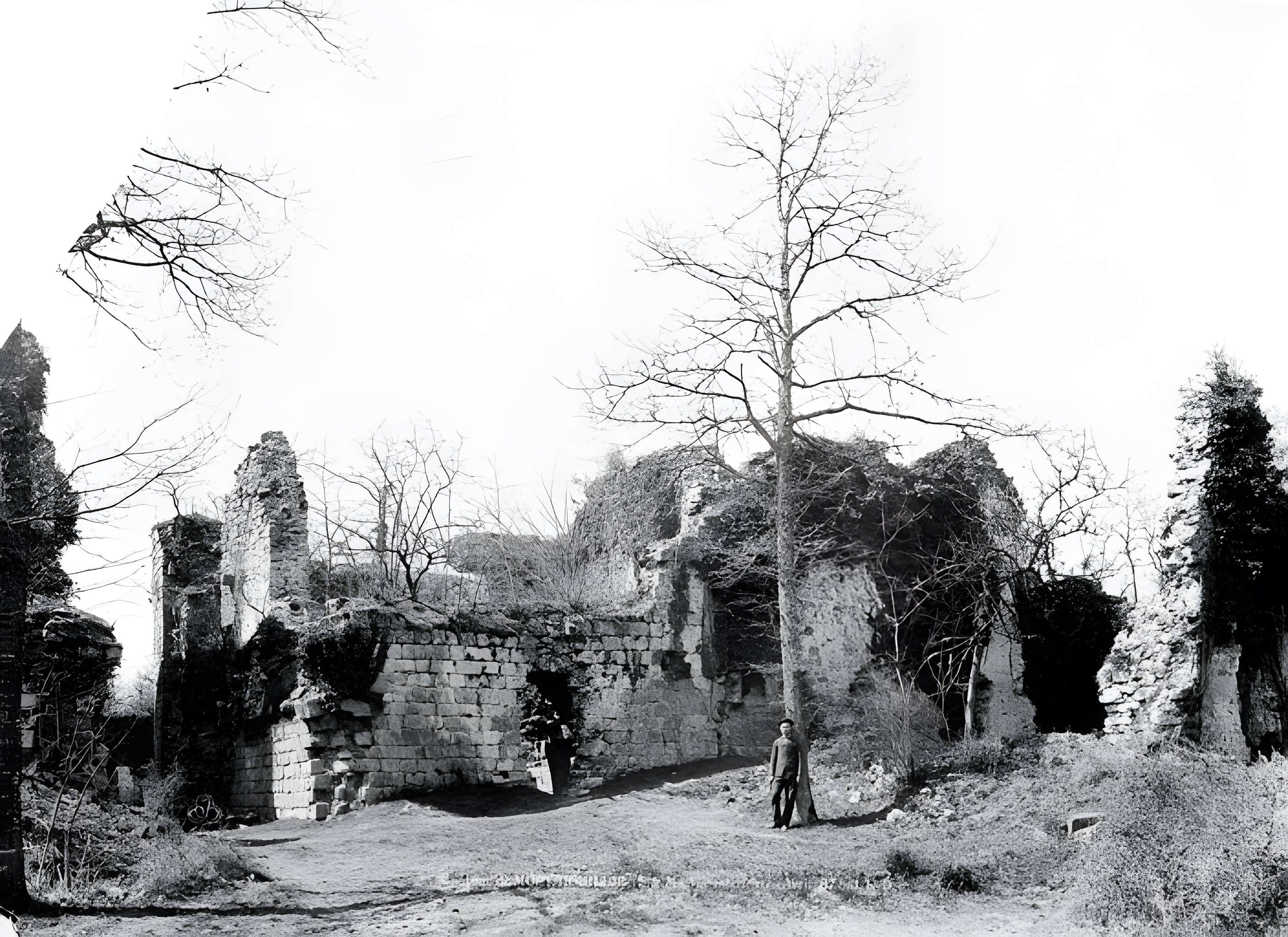Château de Montaiguillon (ruines)