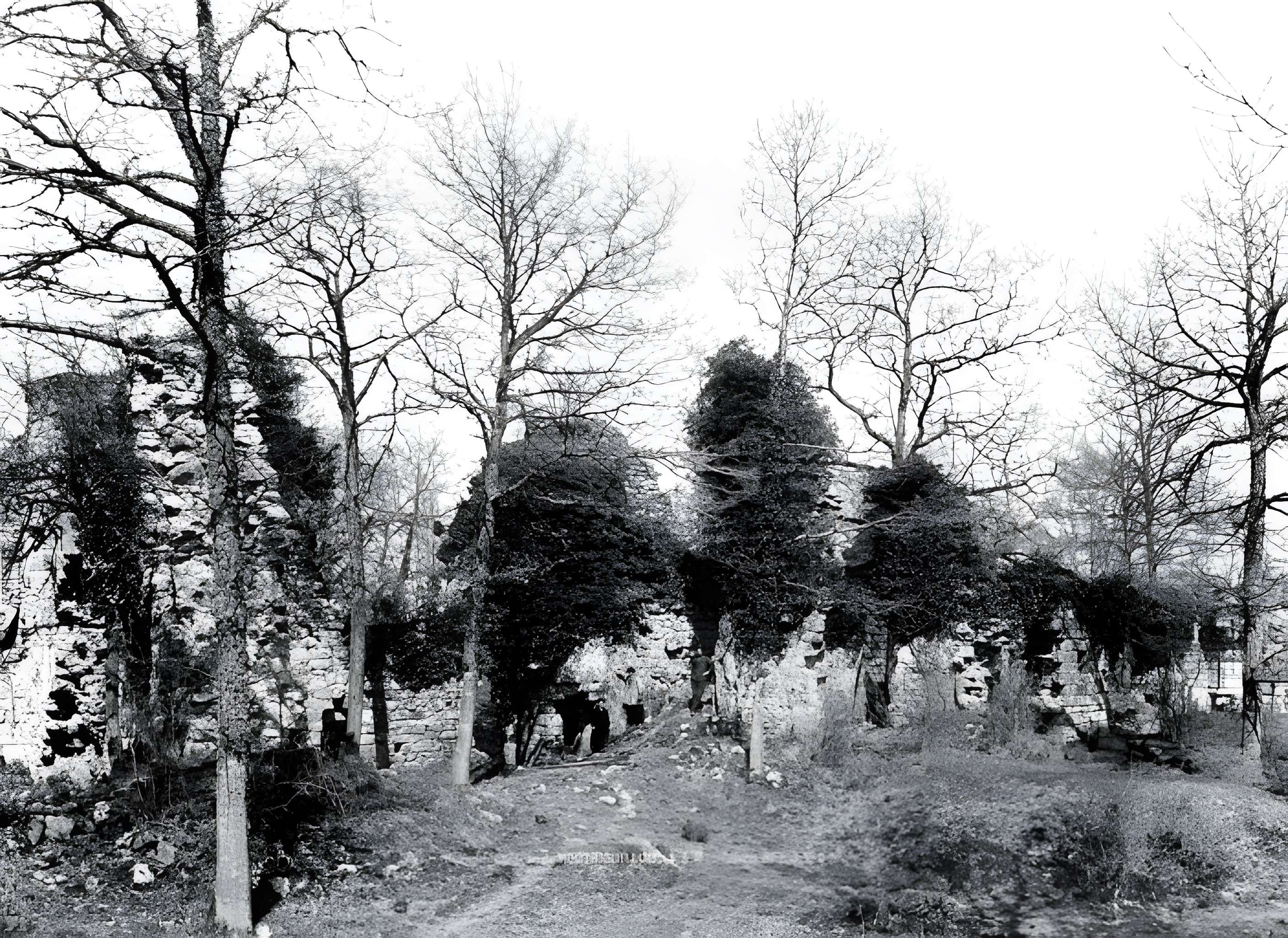 Château de Montaiguillon (ruines)