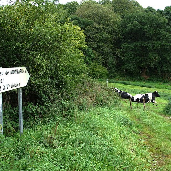 Photo de Ruines du château de Montalifant