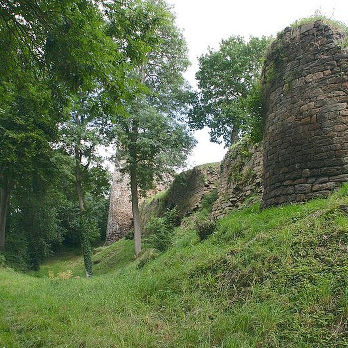 Photo de Ruines du château de Montalifant