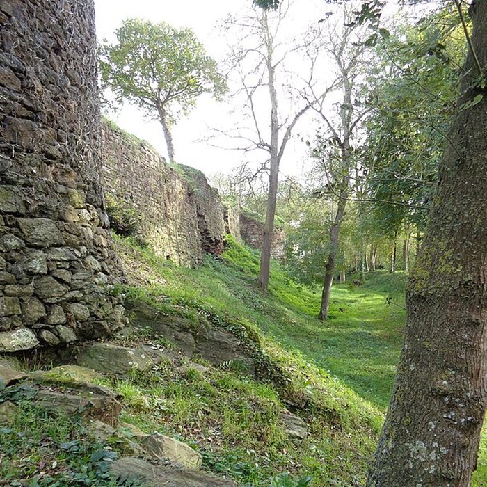 Photo de Ruines du château de Montalifant