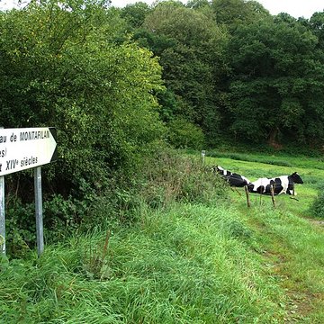 Ruines du château de Montalifant