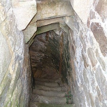 Ruines du château de Montalifant