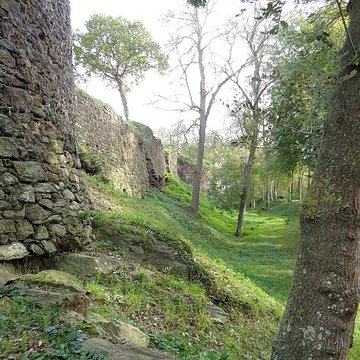 Ruines du château de Montalifant