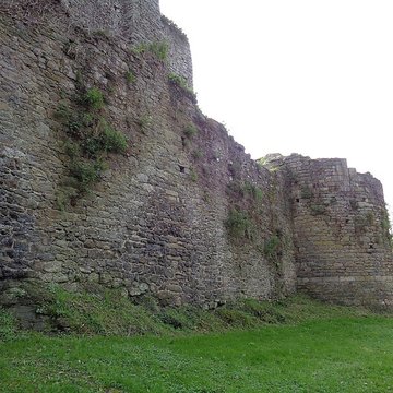 Ruines du château de Montalifant
