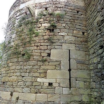 Ruines du château de Montalifant