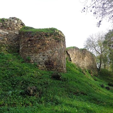 Ruines du château de Montalifant