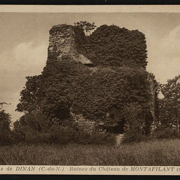 Ruines du château de Montalifant
