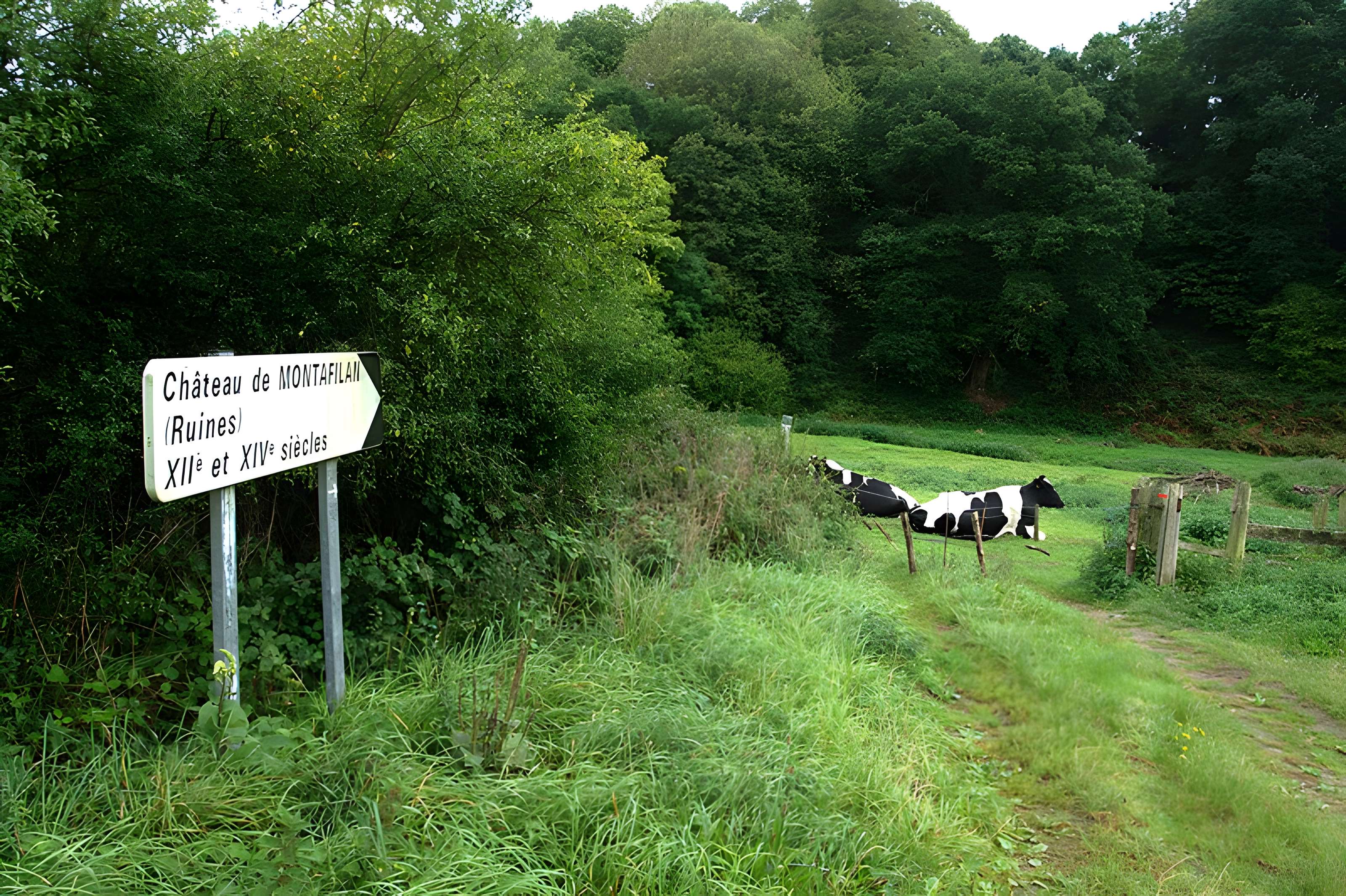 Ruines du château de Montalifant