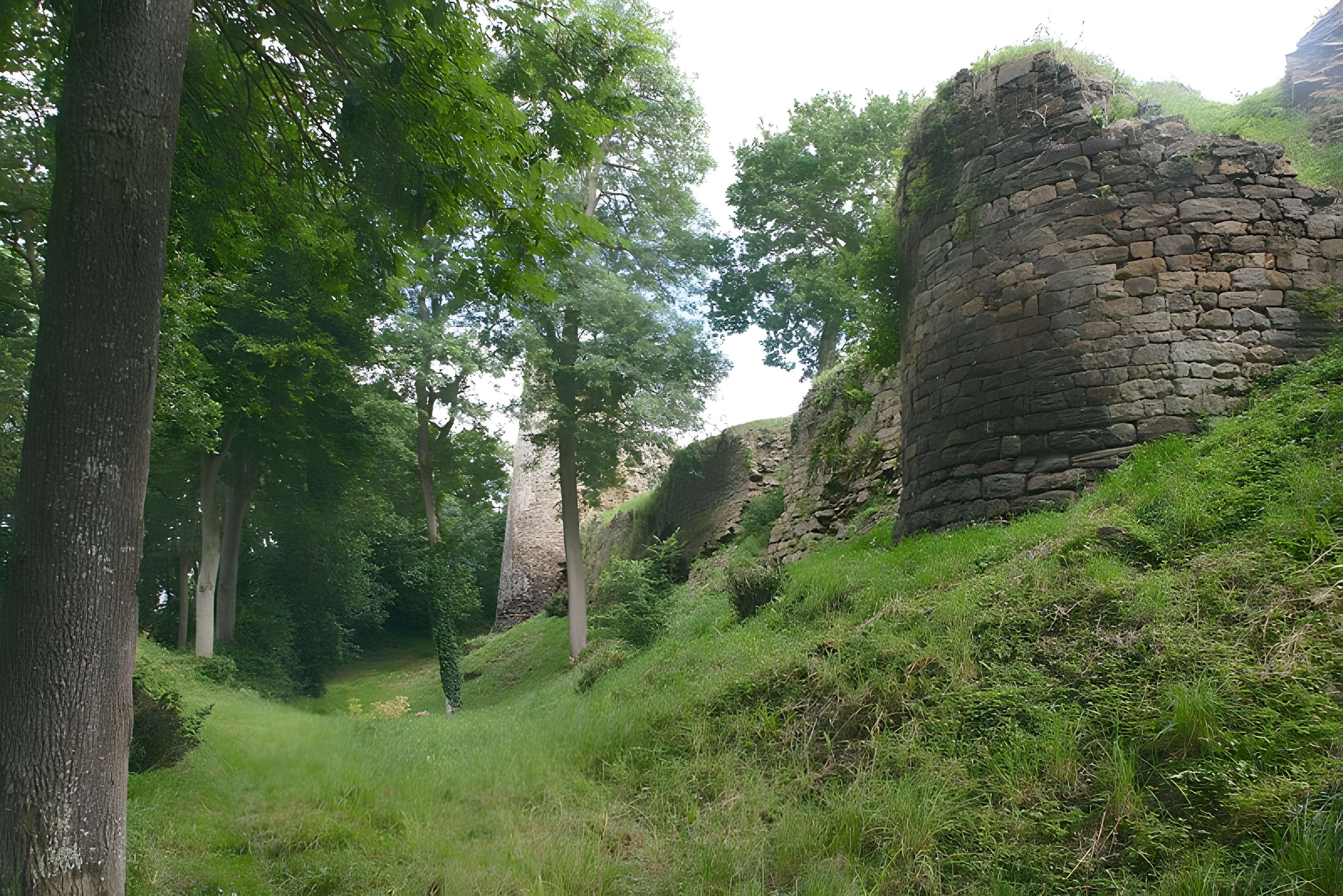 Ruines du château de Montalifant