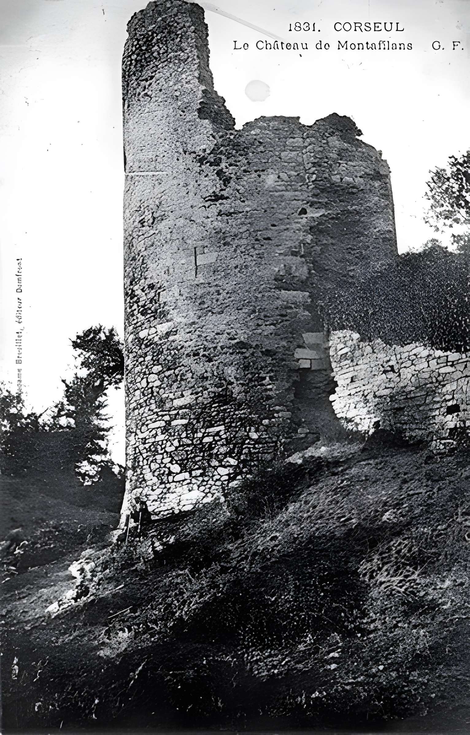 Ruines du château de Montalifant