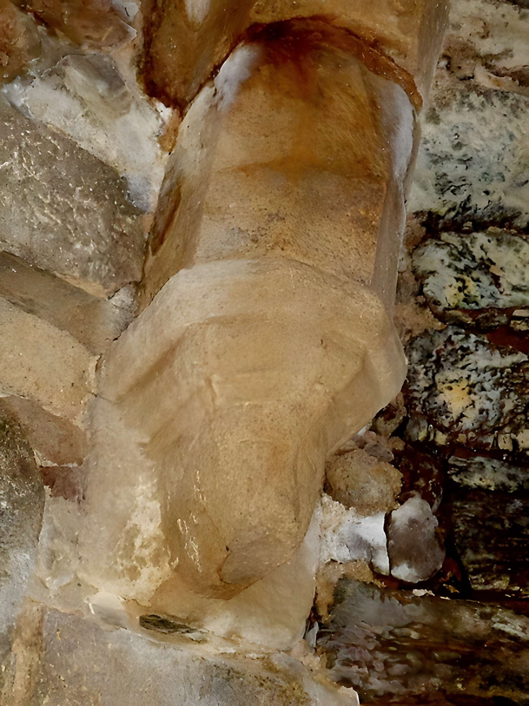 Ruines du château de Montalifant