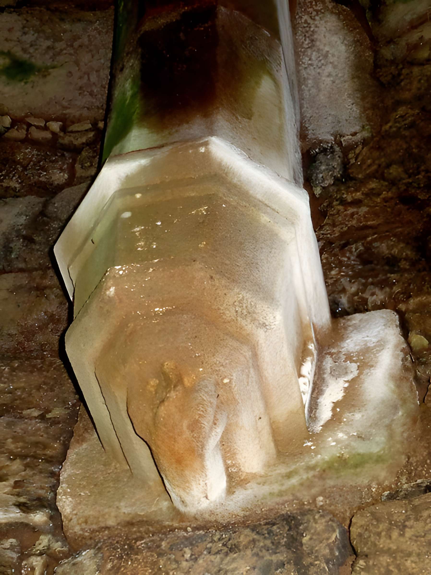 Ruines du château de Montalifant