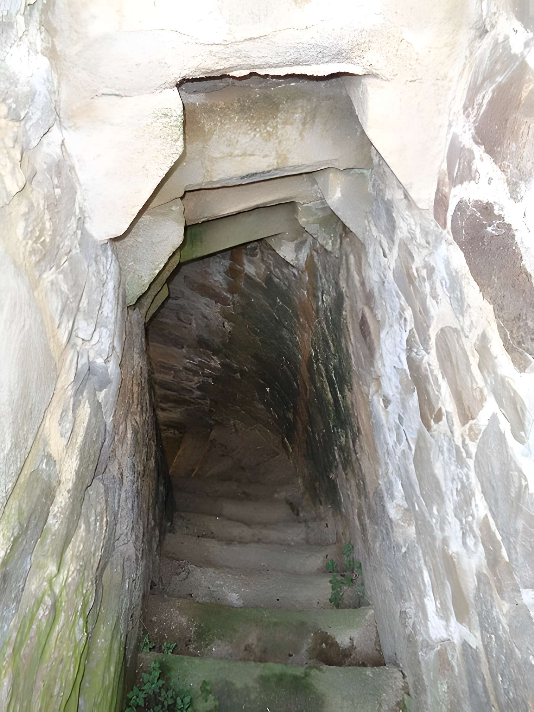 Ruines du château de Montalifant