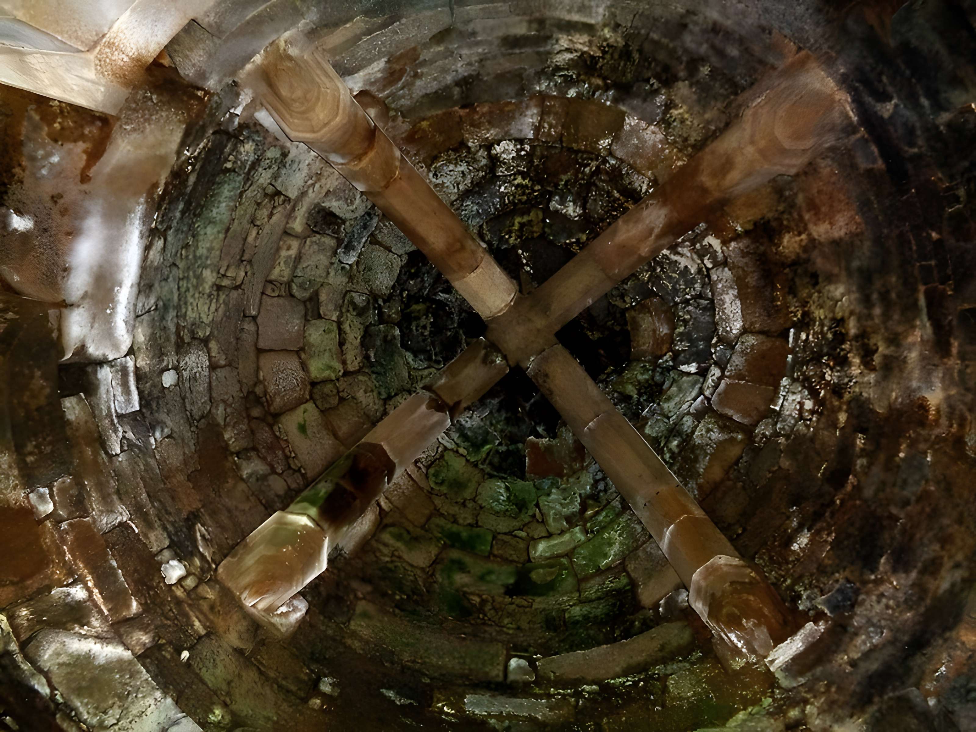 Ruines du château de Montalifant