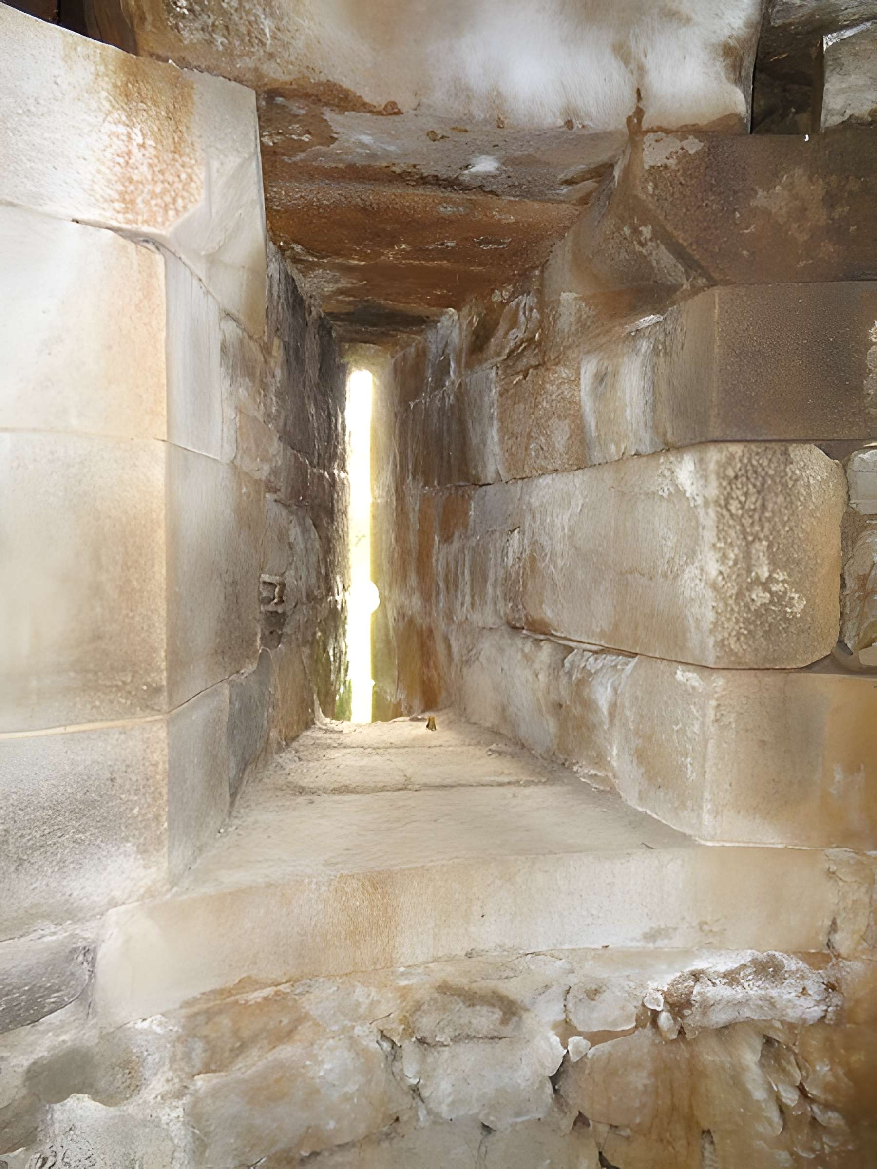 Ruines du château de Montalifant