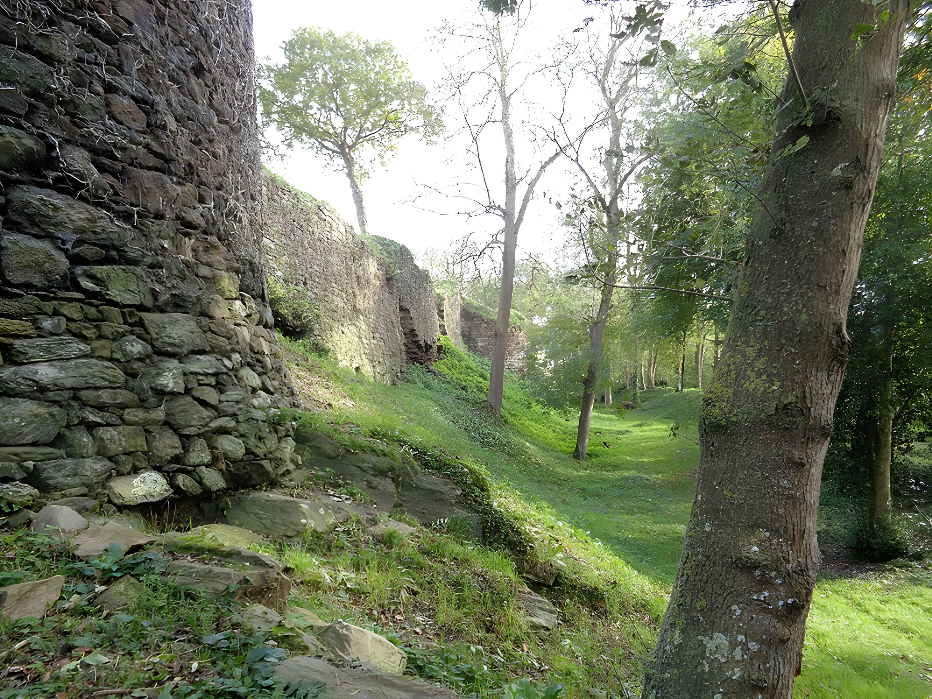 Ruines du château de Montalifant
