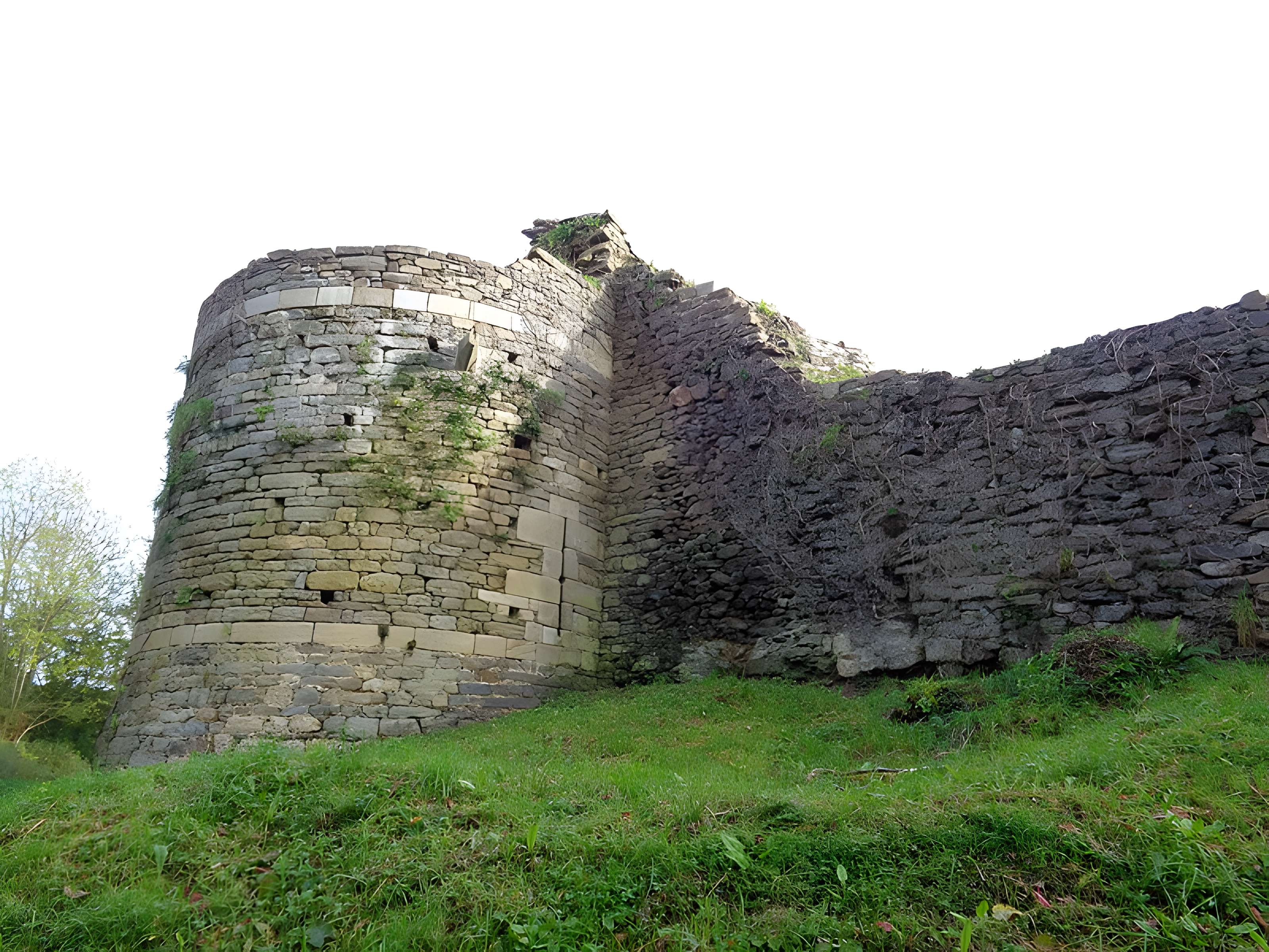 Ruines du château de Montalifant