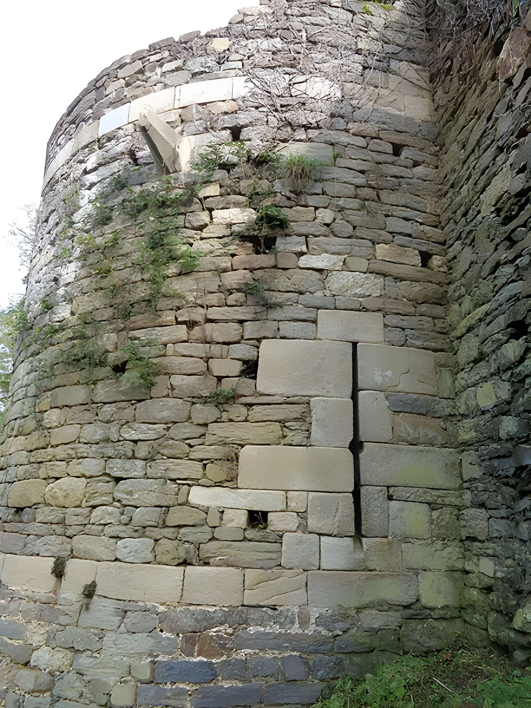 Ruines du château de Montalifant