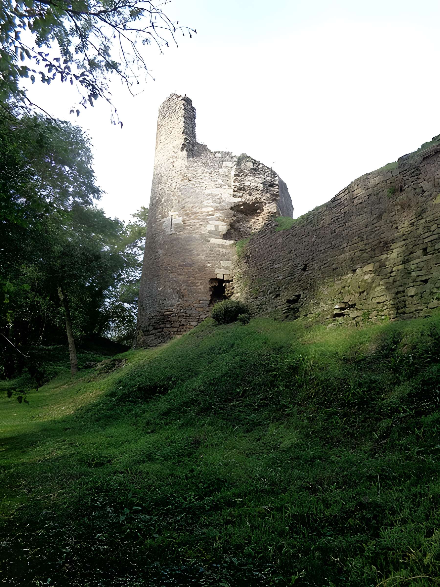 Ruines du château de Montalifant
