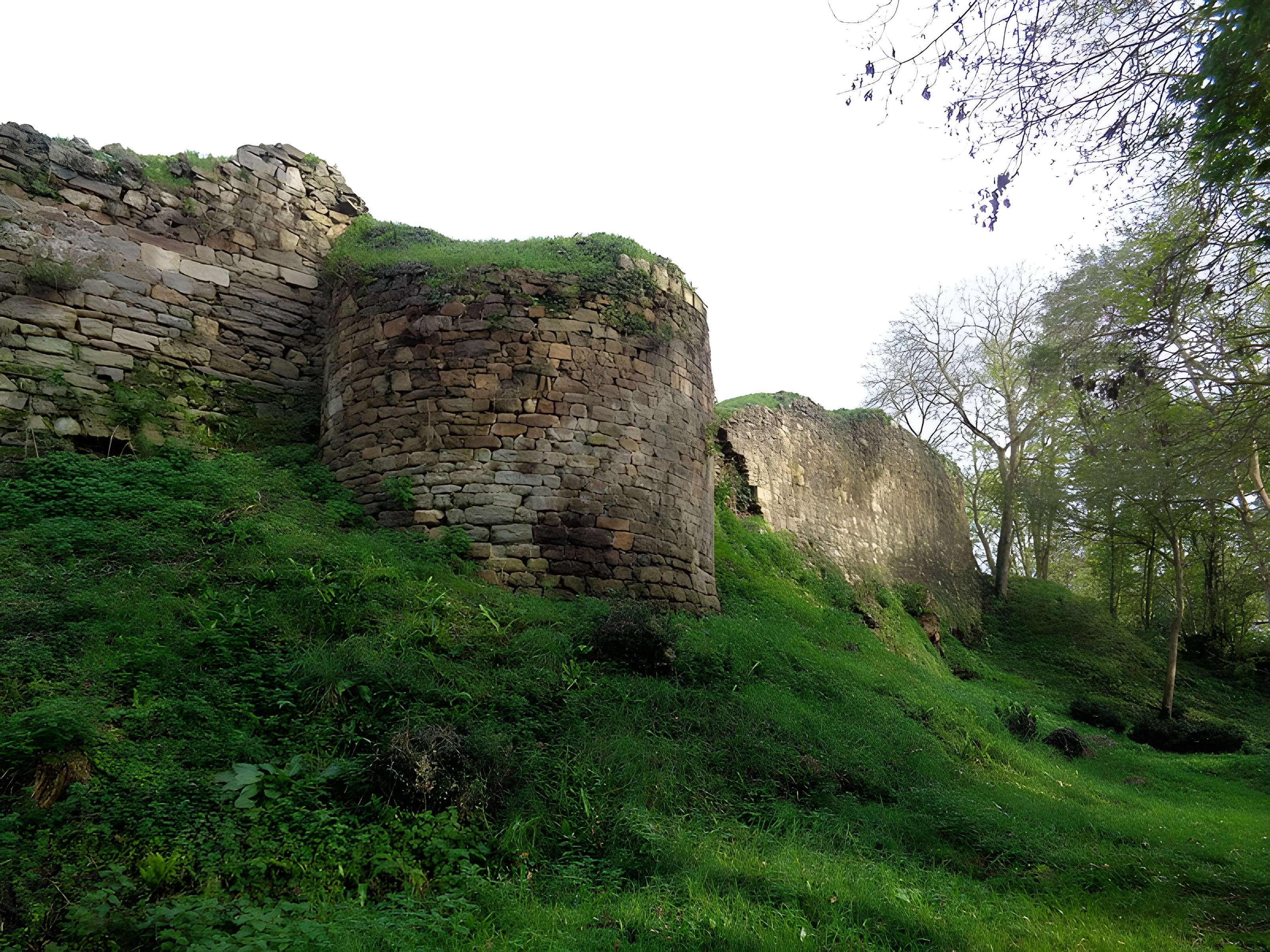 Ruines du château de Montalifant