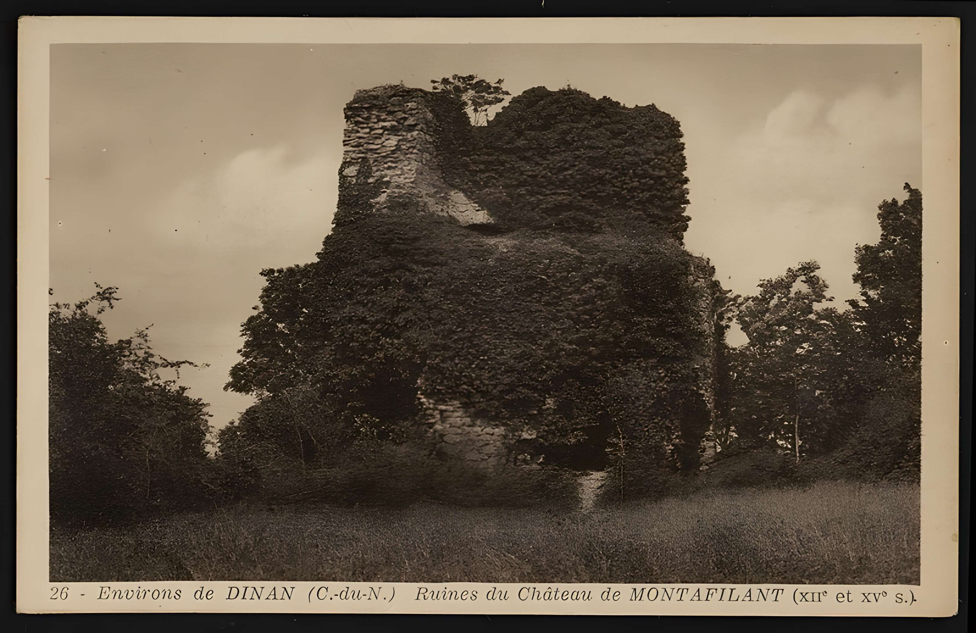 Ruines du château de Montalifant
