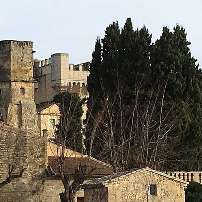 Photo de Château de Montaren