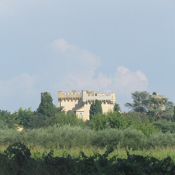 Photo de Château de Montaren