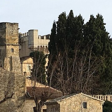 Château de Montaren