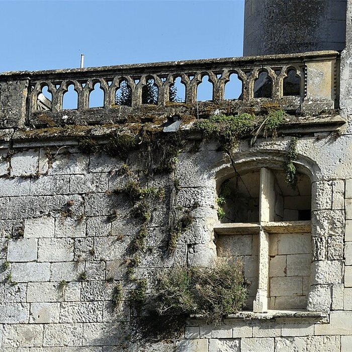 Photo de Château de Montclar