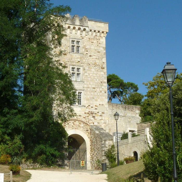 Photo de Château de Montendre