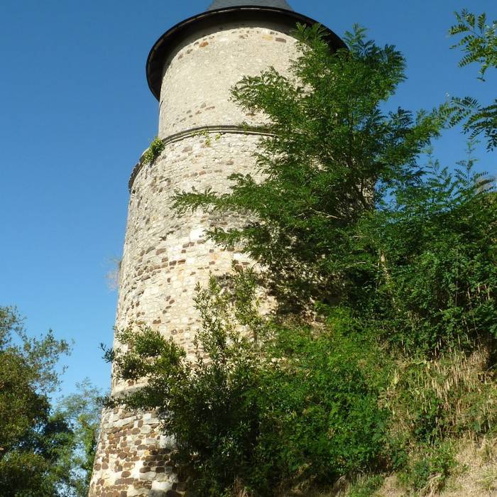 Photo de Château de Montendre