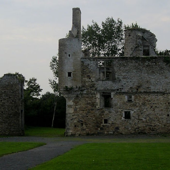 Photo de Ensemble des ruines du château de Montfort