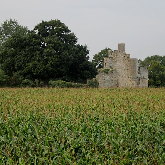 Photo de Ensemble des ruines du château de Montfort