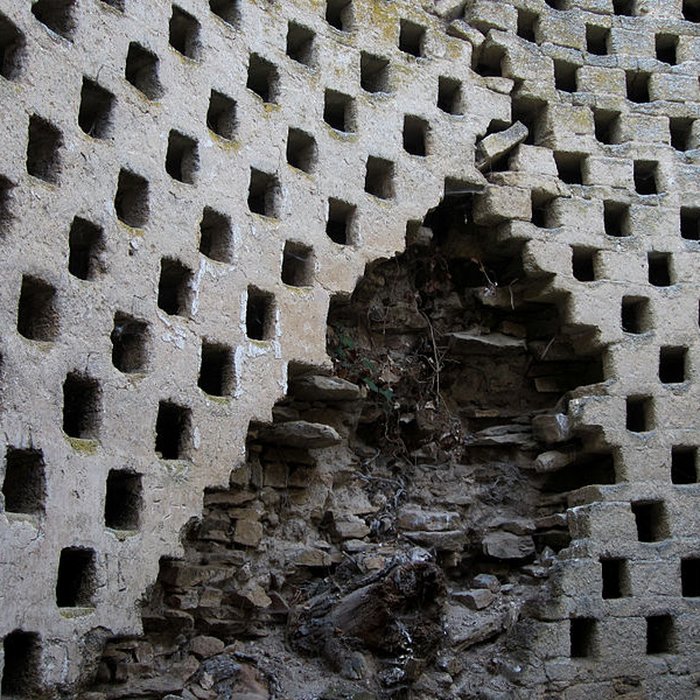 Photo de Ensemble des ruines du château de Montfort