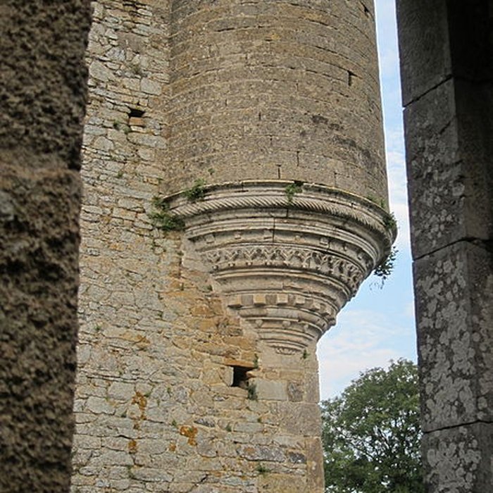 Photo de Ensemble des ruines du château de Montfort