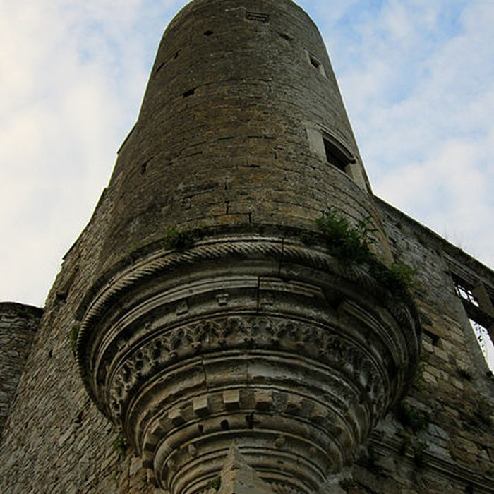 Photo de Ensemble des ruines du château de Montfort