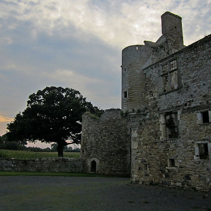 Photo de Ensemble des ruines du château de Montfort
