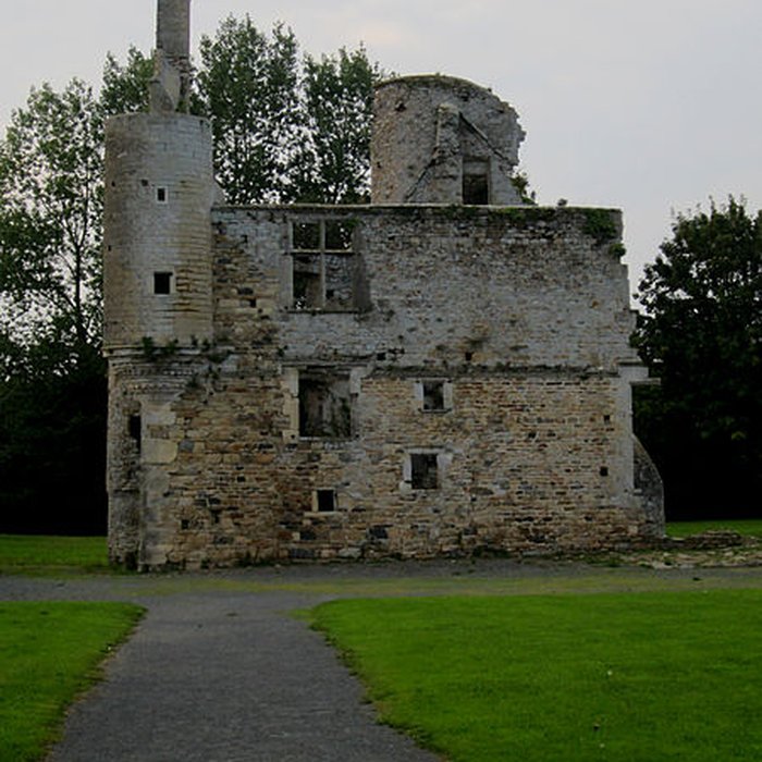 Photo de Ensemble des ruines du château de Montfort