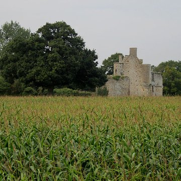 Ensemble des ruines du château de Montfort