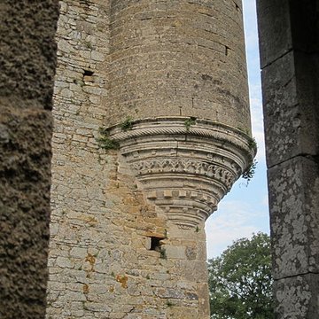 Ensemble des ruines du château de Montfort