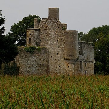 Ensemble des ruines du château de Montfort