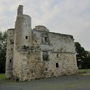 Ensemble des ruines du château de Montfort