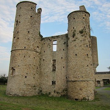 Ensemble des ruines du château de Montfort