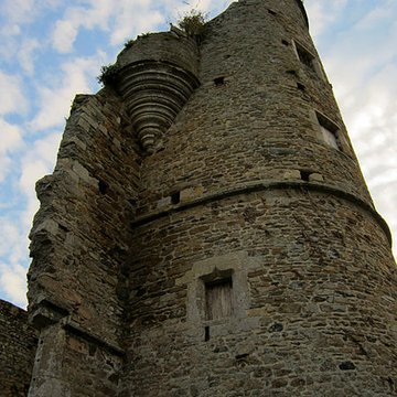 Ensemble des ruines du château de Montfort